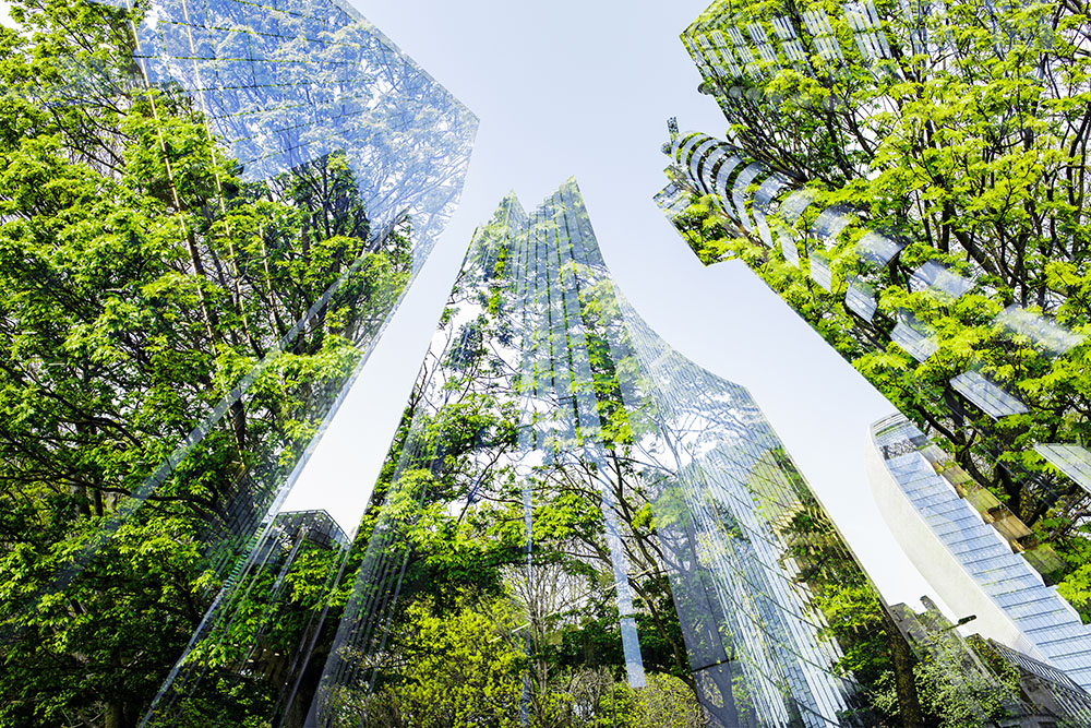 Demystifying Corporate Sustainability Reports